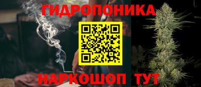 PSILOCYBIN Аргун